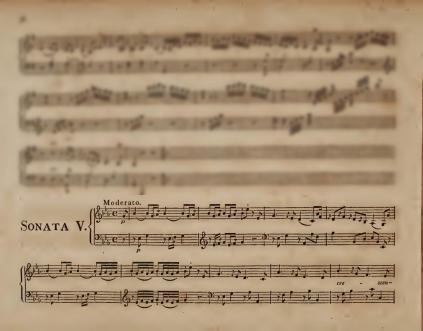 Moderato, S. 1