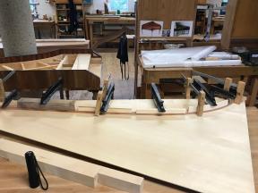 Aufleimen des Resonanzbodensteges