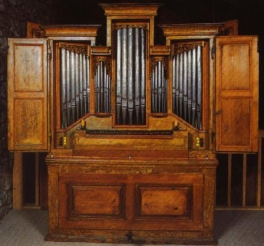 Domestic organ, Emmental pattern