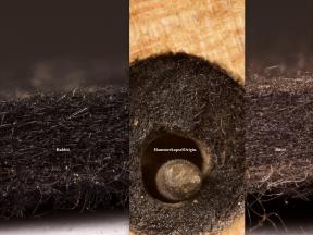 Vergleich der originalen Kapsel-Betuchung mit Hasenfilz und Biberfilz