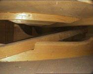 Videoscopic inside view