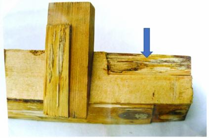 Herausgearbeiteter Resonanzboden an der Unterseite des Kämpferwiderlagers 