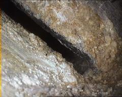 Kern und Oberlabium Korrosionsspuren