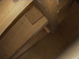  endoskopic view of the strong struts